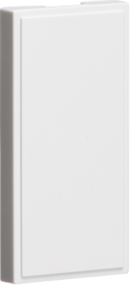 PACK OF 10 - Half Blanking Modules (25 x 50mm) - White