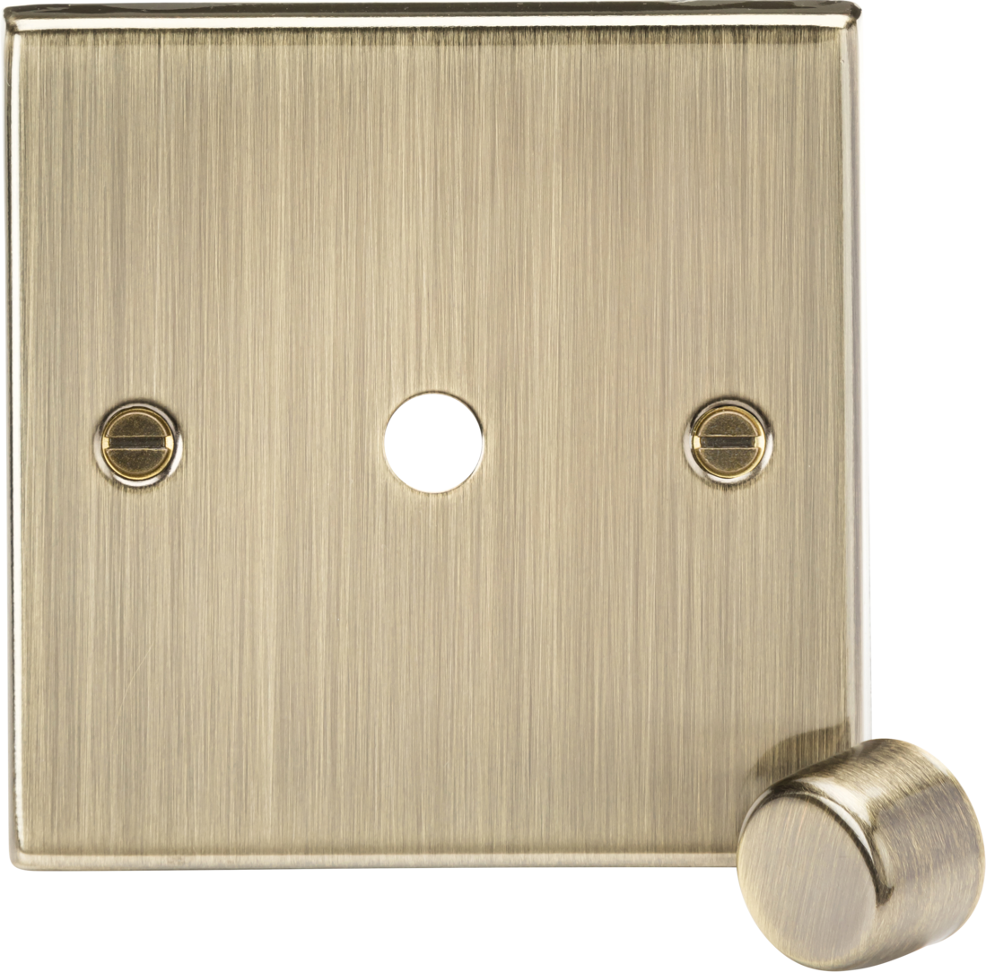 Antique Brass 1G Dimmer Plate with Matching Metal Dimmer Cap