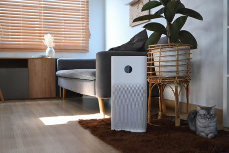 White Air purifier with digital monitor screen houseplant and cat on floor in living room