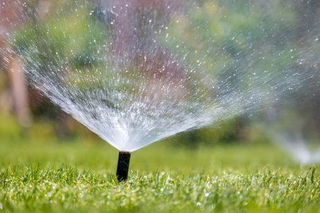Plastic sprinkler irrigating grass lawn with water in summer garden