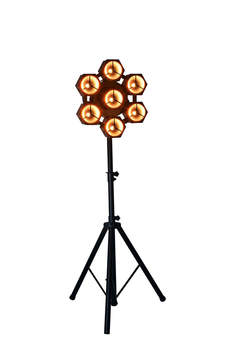 Citronic LED Lights