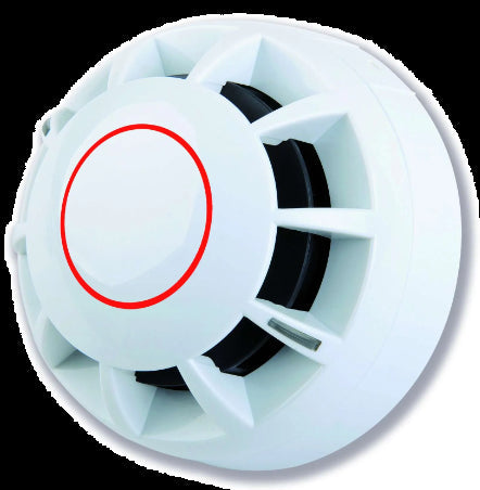 C-TEC detector 