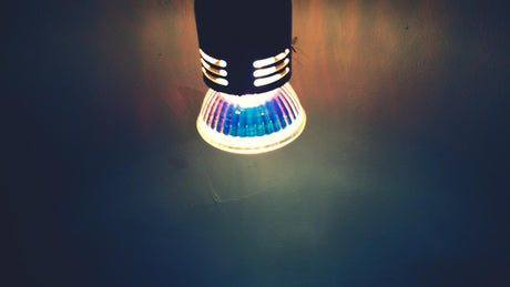 spotlight bulb