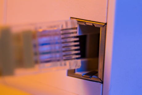 close up of cable being inserted into a network socket 