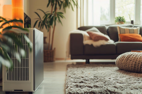 Dehumidifier in living room 