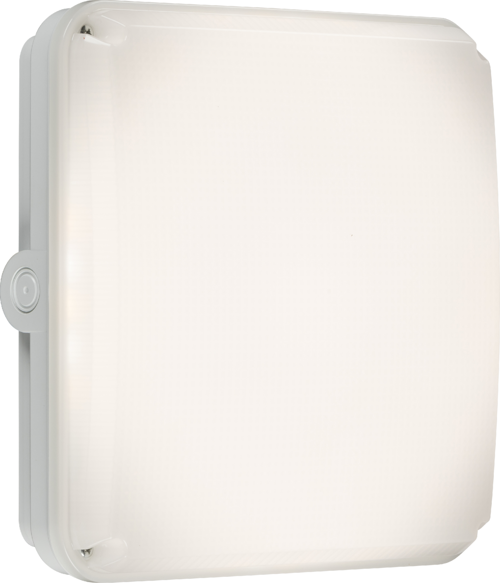 Square White Casing for TENAX Quad, IP65, Polycarbonate