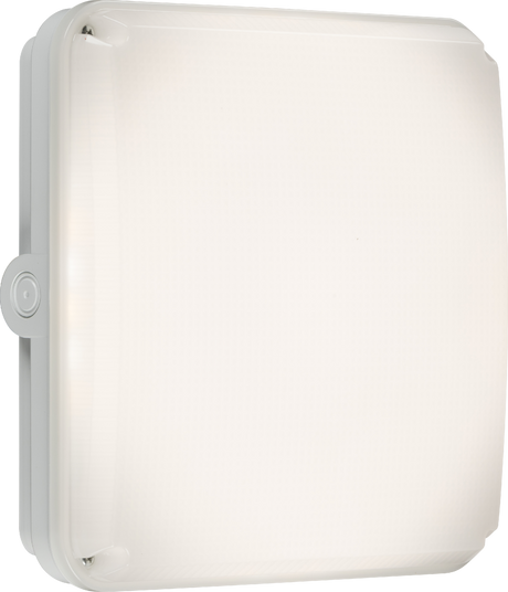 Square White Casing for TENAX Quad, IP65, Polycarbonate