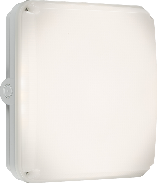 Square White Casing for TENAX Quad, IP65, Polycarbonate