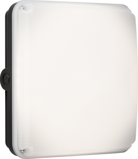 Square Black Casing for TENAX Quad - 245mm x 245mm