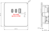 Brushed Chrome Triple USB Charger Plate