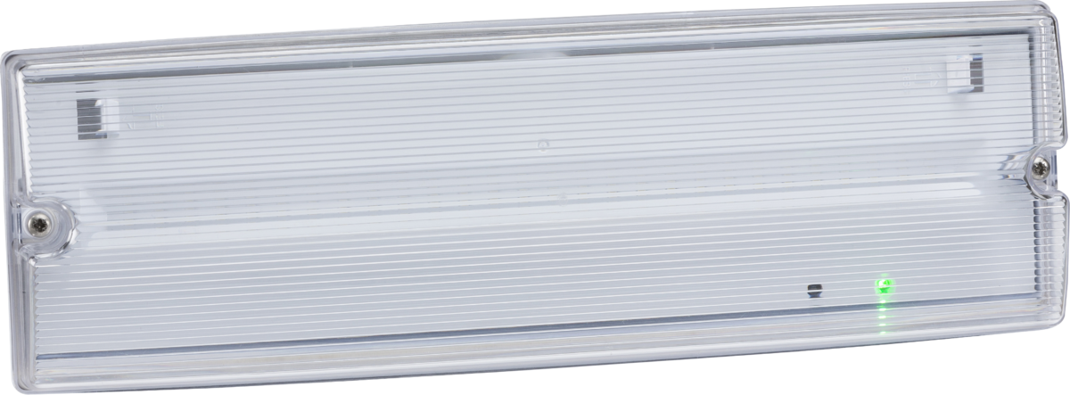 230V IP65 4W LED Emergency Bulkhead with Self-Test Function