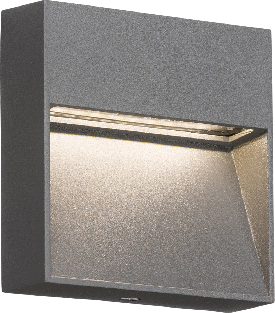 230V IP44 3W LED Square Wall/Guide Light - Grey