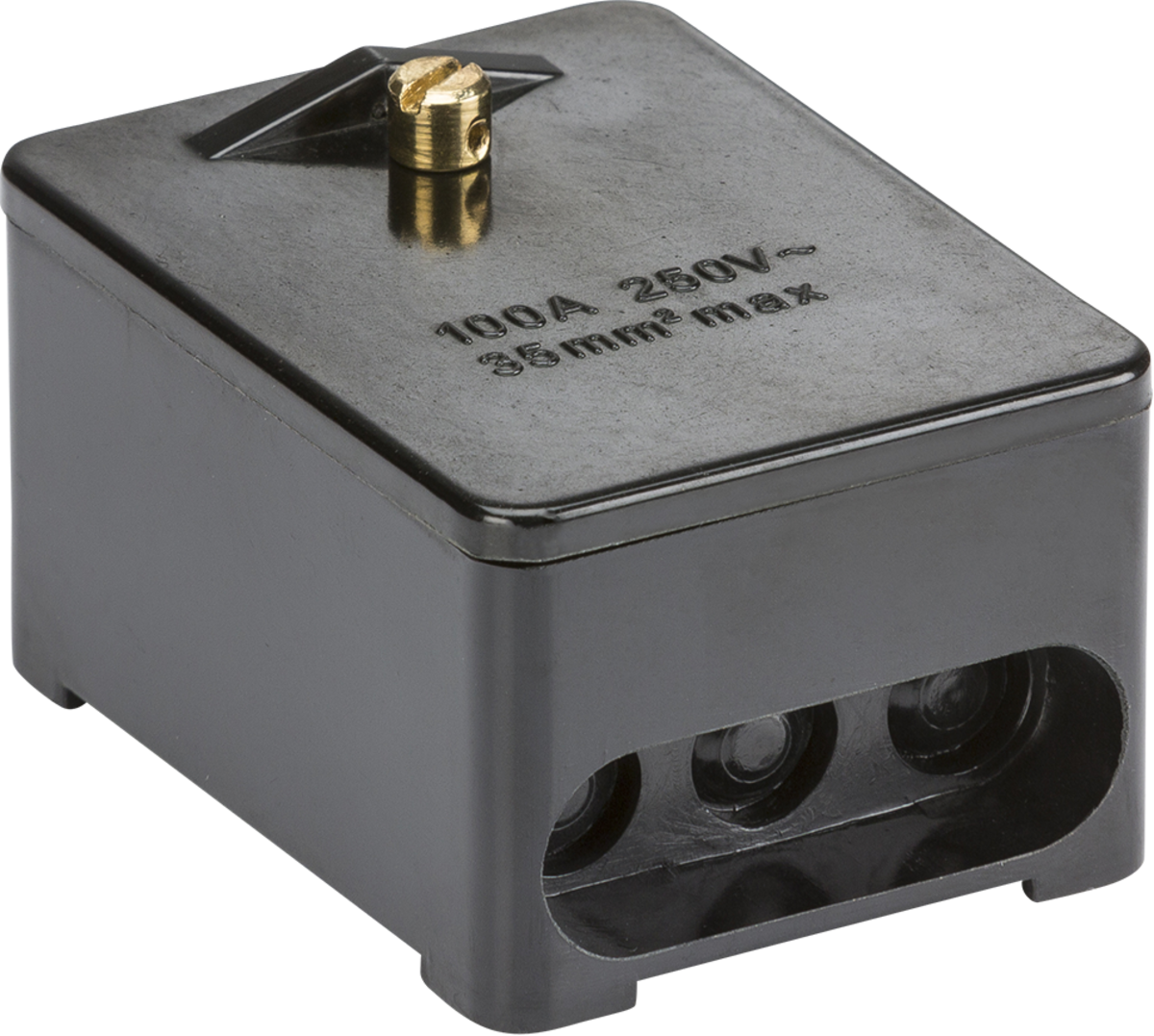 100A 1 x 5-Way Service Connector Block - Brass Terminals