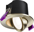 SpektroLED Evo Tilt Fire Rated IP65 Downlight - Antique Brass