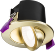 SpektroLED Evo Tilt Fire Rated IP65 Downlight - Brushed Brass