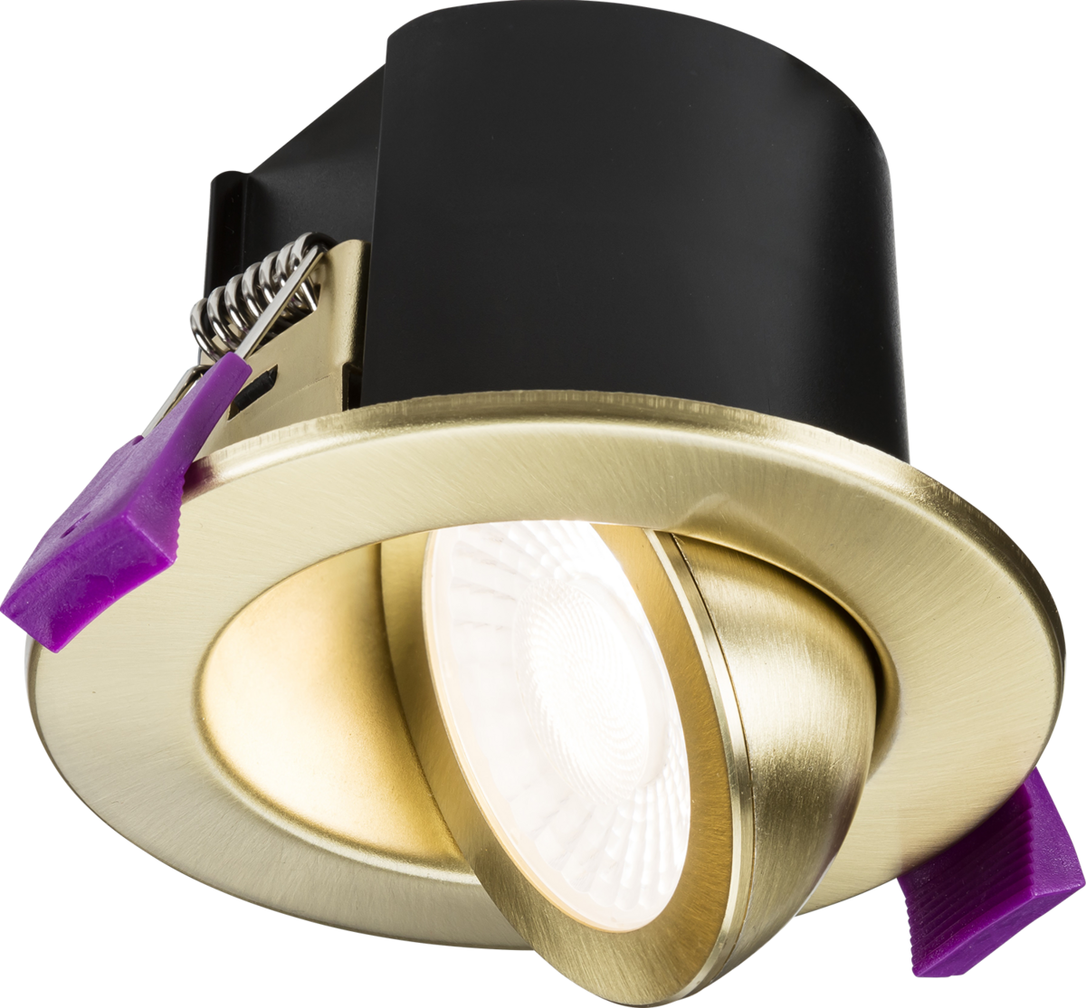 SpektroLED Evo Tilt Fire Rated IP65 Downlight - Brushed Brass