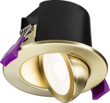 SpektroLED Evo Tilt Fire Rated IP65 Downlight - Brushed Brass