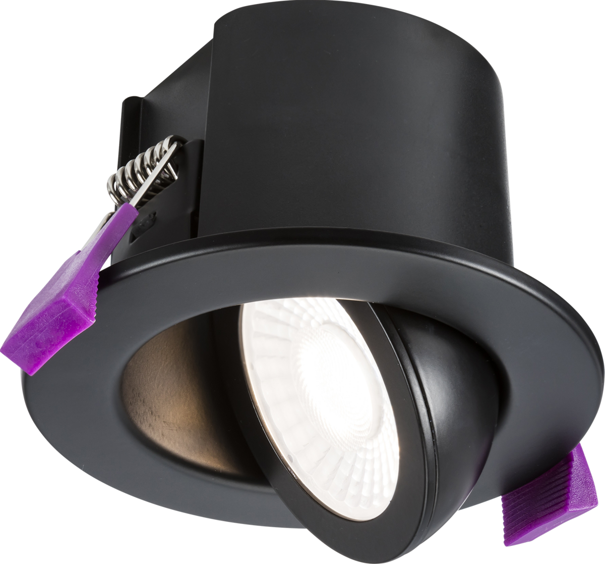 SpektroLED Evo Tilt Fire Rated IP65 Downlight - Matt Black