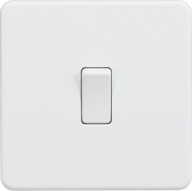 10AX 1G DP Switch - Matt White