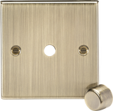 Antique Brass 1G Dimmer Plate with Matching Metal Dimmer Cap