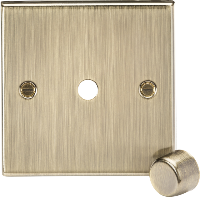 Antique Brass 1G Dimmer Plate with Matching Metal Dimmer Cap