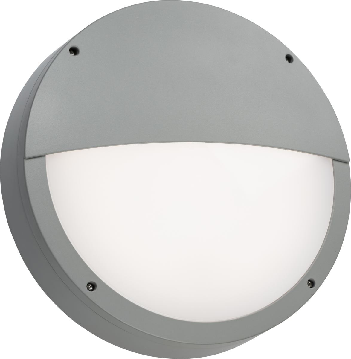 Anti-vandal Grey Eyelid Casing for Tenax Pro