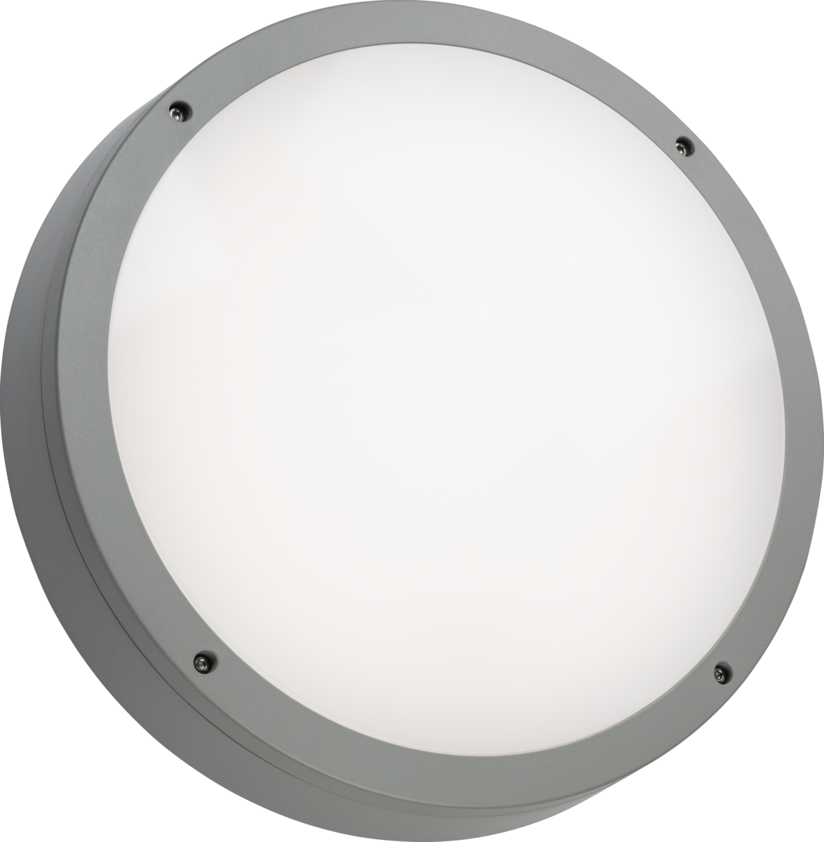 Anti-vandal Grey Casing for Tenax Pro - IP66