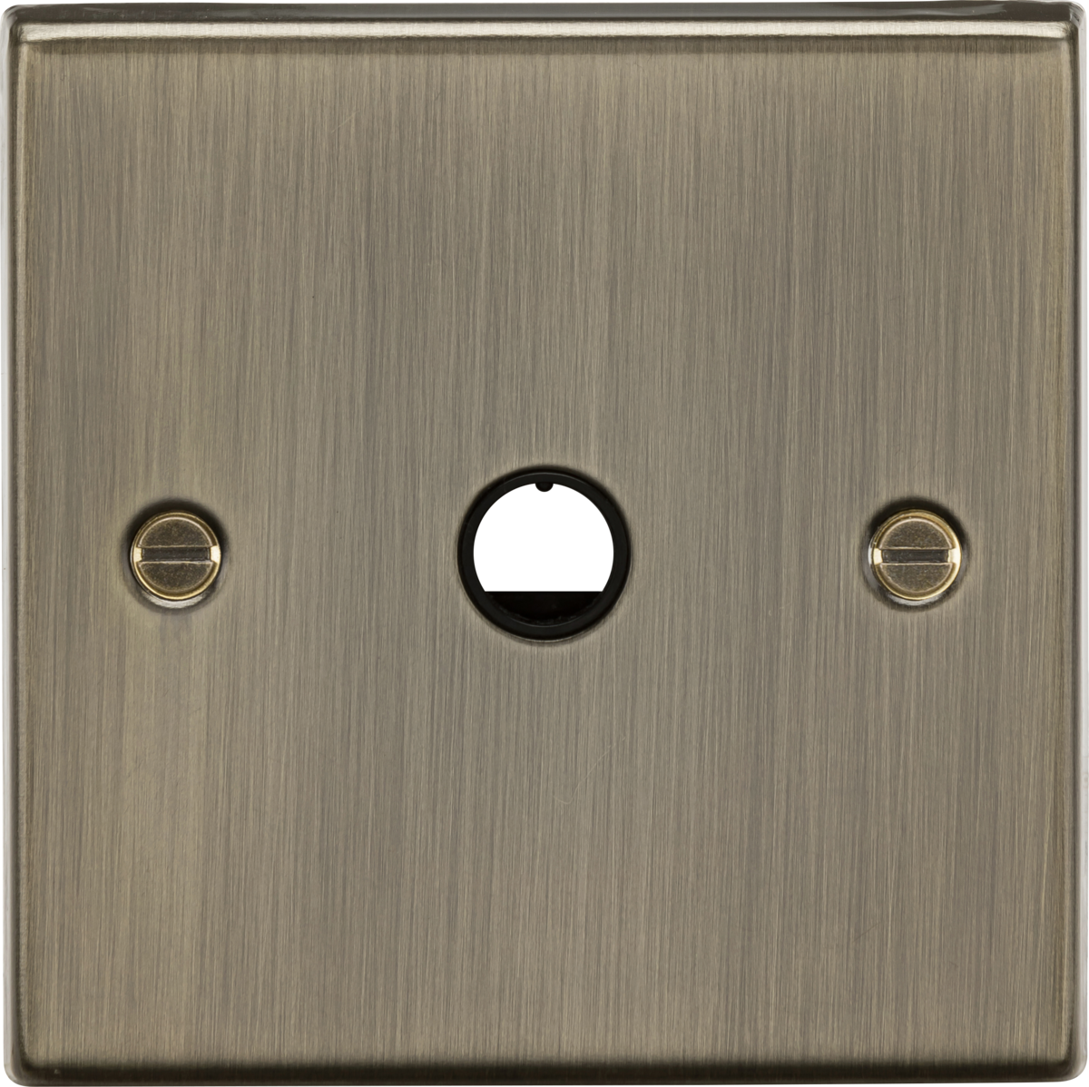 20A Flex Outlet Plate - Antique Brass