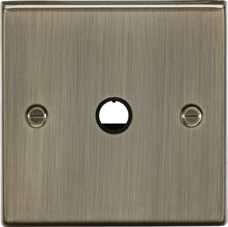 20A Flex Outlet Plate - Antique Brass