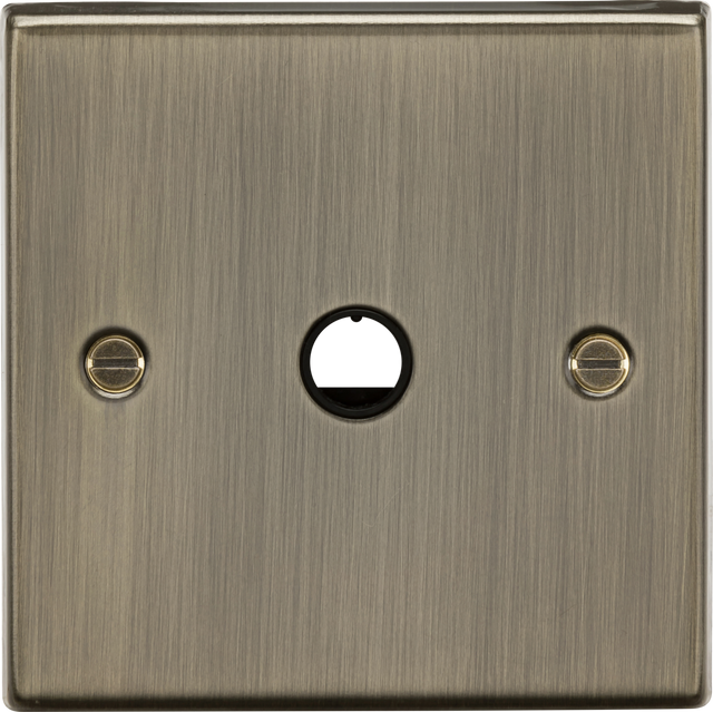 20A Flex Outlet Plate - Antique Brass