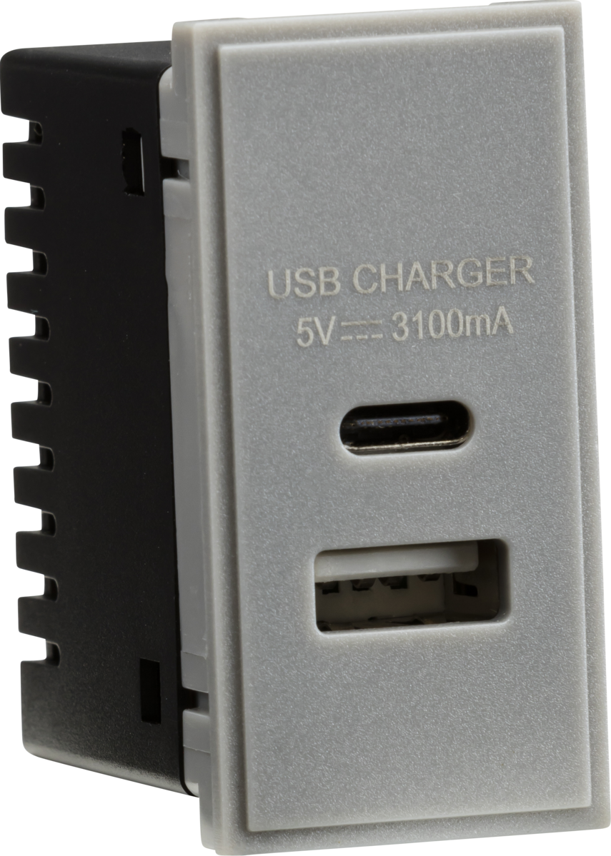 Dual USB A+C Charger Module - Grey