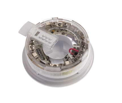 Apollo 45681-709APO