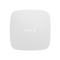 Smart Hubs & Voice Assistants