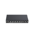 RG-EG310GH-P-E