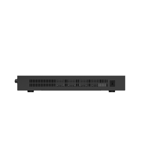 RG-EG310GH-P-E