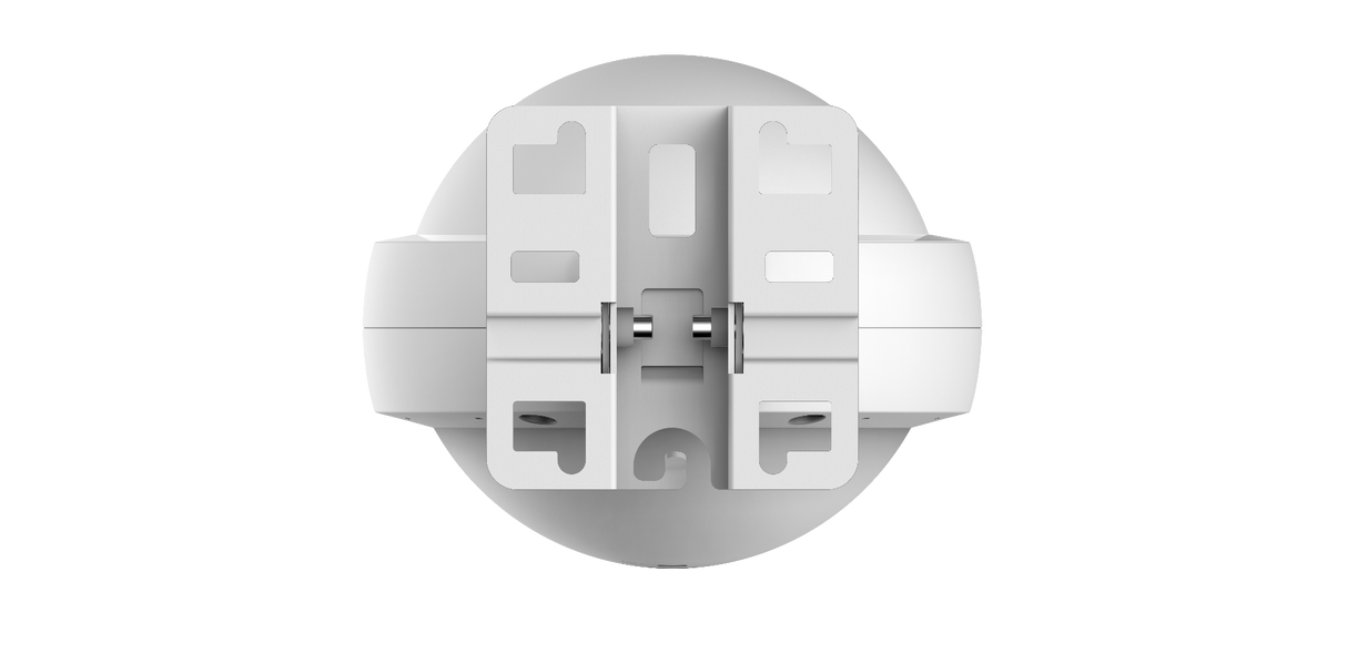 RG-RAP6202(G)